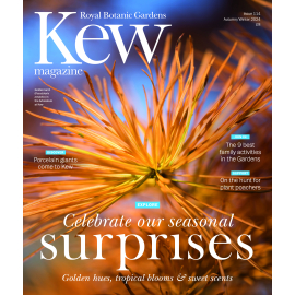 Kew Magazine Autumn/Winter 2024