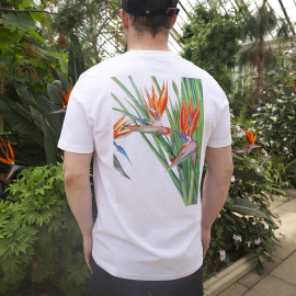 Marianne North Strelitzia T-shirt, White, back