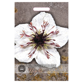 Nigella papillosa African Bride Seed Packet