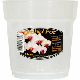 Clear Orchid Pot 13cm