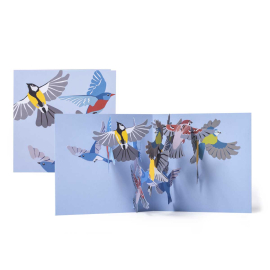 Small Birds Pop Up Card