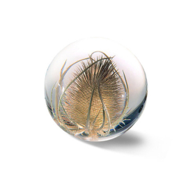 Teasel Paperweight