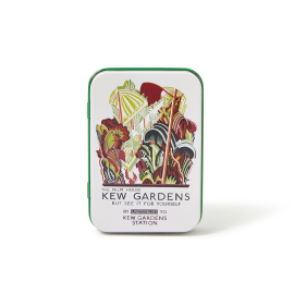 Kew x TFL Seedball Tin