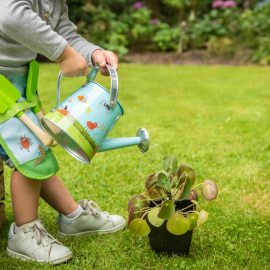 Watering Can, Kids Bugs