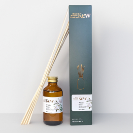 Kew x Aery Reed Diffuser, White Rose