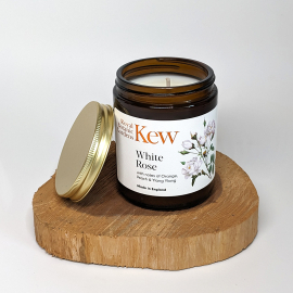 Kew White Rose Jar Candle, Orange Peach and Ylang Ylang