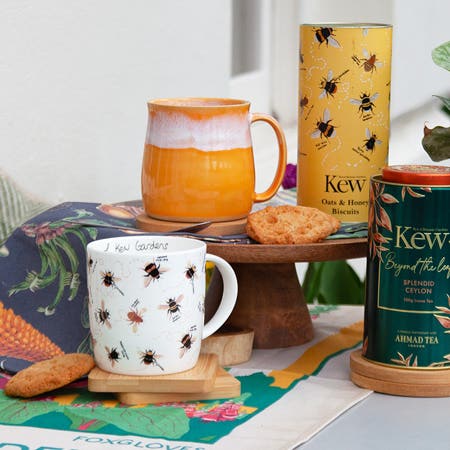 Mugs & glassware