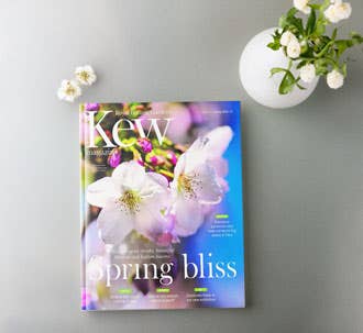 Kew magazine