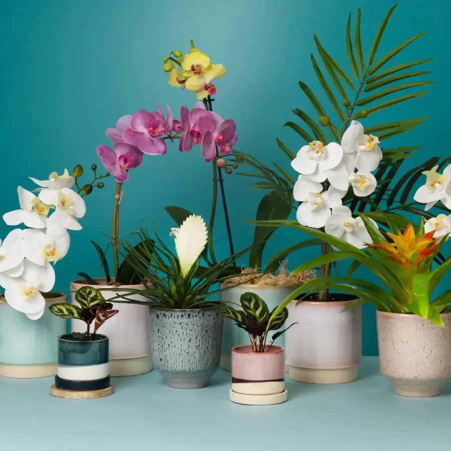 Pots and Planters