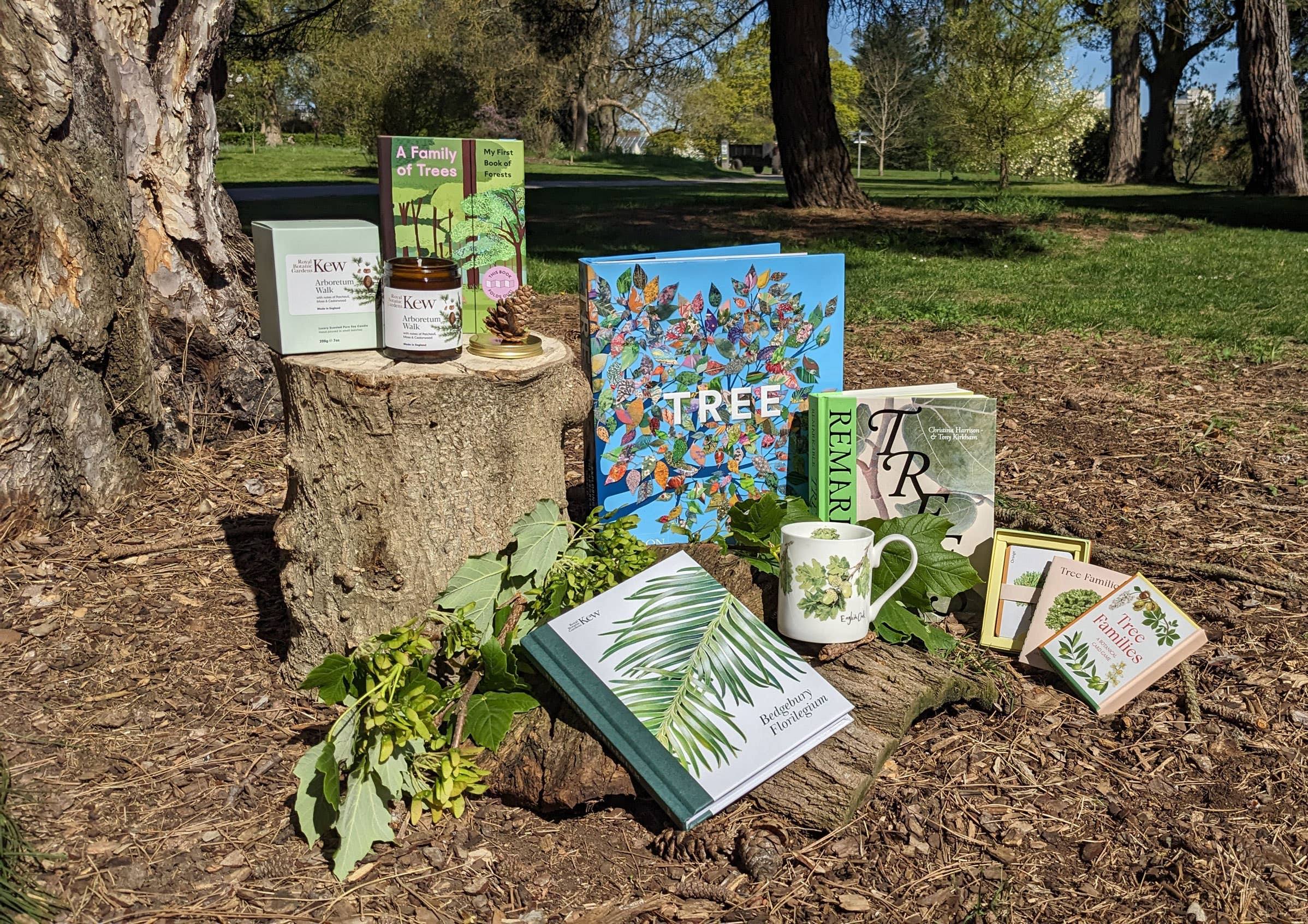 The power of trees with Kew