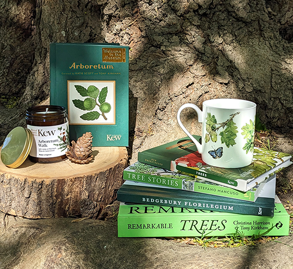 Trees Collection