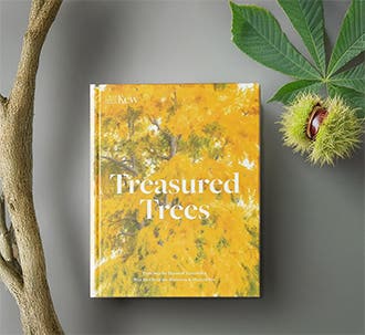 Trees