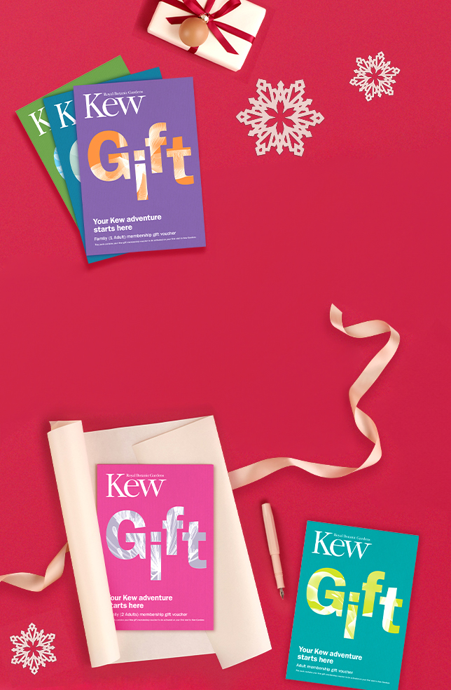 20% off Gift Membership Vouchers